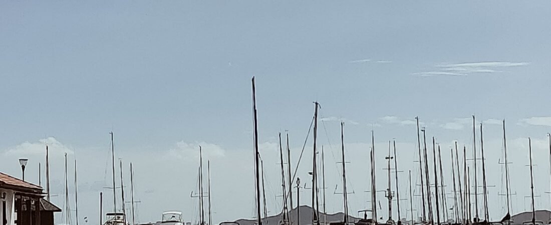 Valoracion de daños y perdidas en siniestros Navales